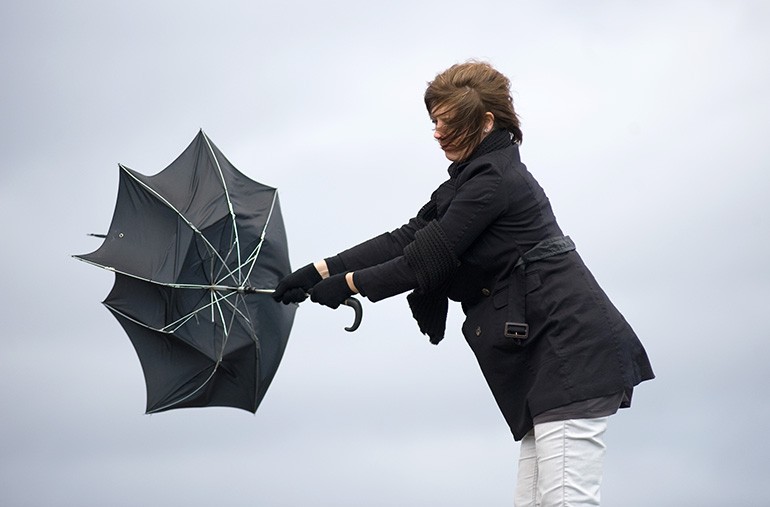 Restoration and Recovery Services for Wind, Hail and Storm Damage